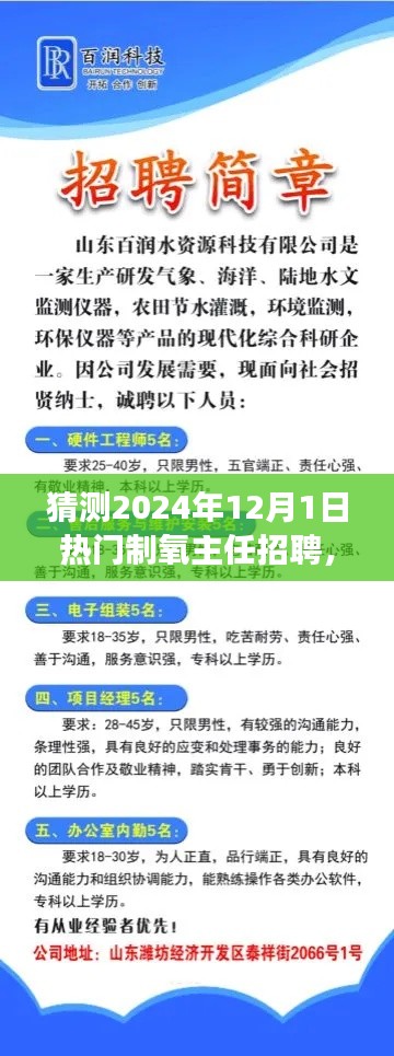 把握未來，挑戰(zhàn)熱門制氧主任崗位，2024年招聘展望與自我超越之路