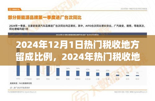 揭秘2024年熱門(mén)稅收地方留成比例，查詢與解讀指南