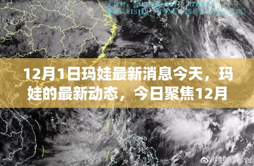 聚焦今日，瑪娃最新動態(tài) 12月1日消息