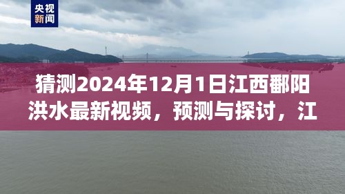 江西鄱陽湖區(qū)洪水現(xiàn)象觀察與預(yù)測，聚焦2024年12月1日的最新視頻探討