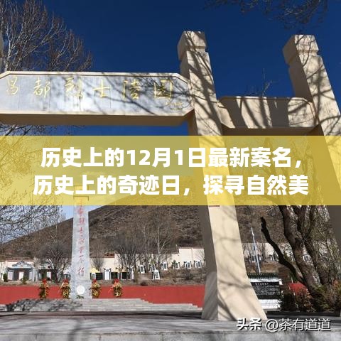 探尋奇跡日，歷史上的自然美景之旅與寧靜革命之路的探尋