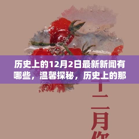 溫馨探秘，歷史上的十二月二日最新新聞與日常小故事回顧