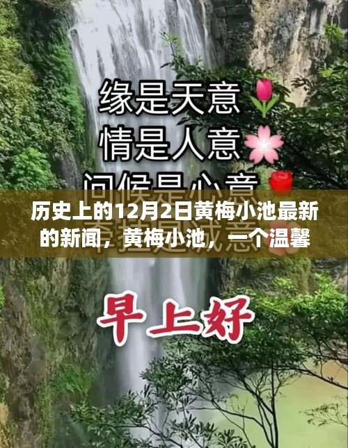 黃梅小池，溫馨日常與愛的紐帶——?dú)v史上的今天新聞回顧，12月2日的愛與陪伴故事