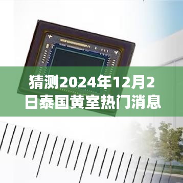 泰國黃室風(fēng)云揭秘，學(xué)習(xí)變革與夢想實現(xiàn)，2024年12月2日的輝煌展望