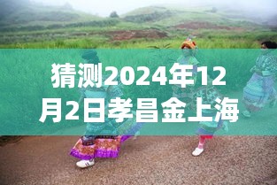 孝昌金上海2024年12月2日探尋自然秘境，旅行熱潮預(yù)測，奇妙之旅即將啟程