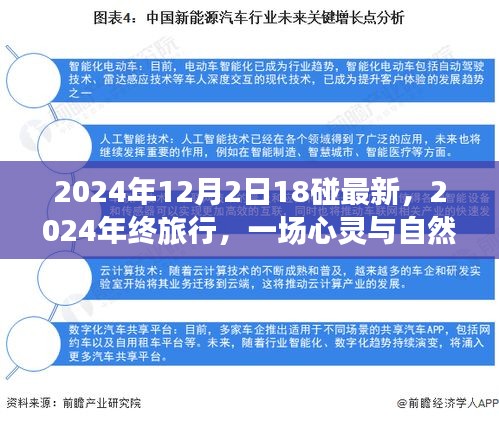 心靈與自然的碰撞，2024年終旅行記