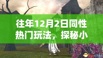 往年12月2日同性熱門玩法，小巷深處的獨(dú)特體驗(yàn)與隱藏小店的奇遇