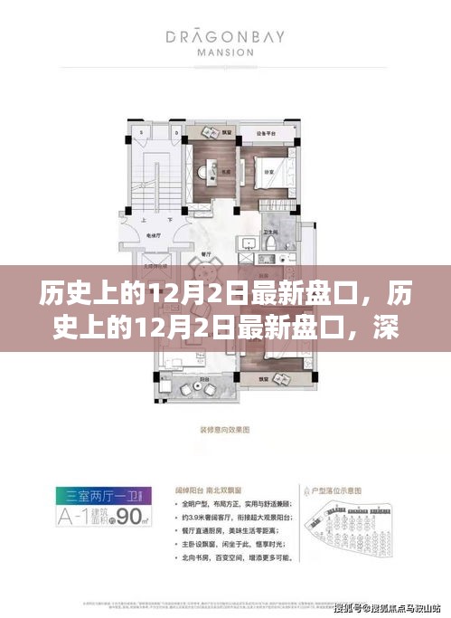 深度解析，歷史上的12月2日最新盤口及其觀點闡述