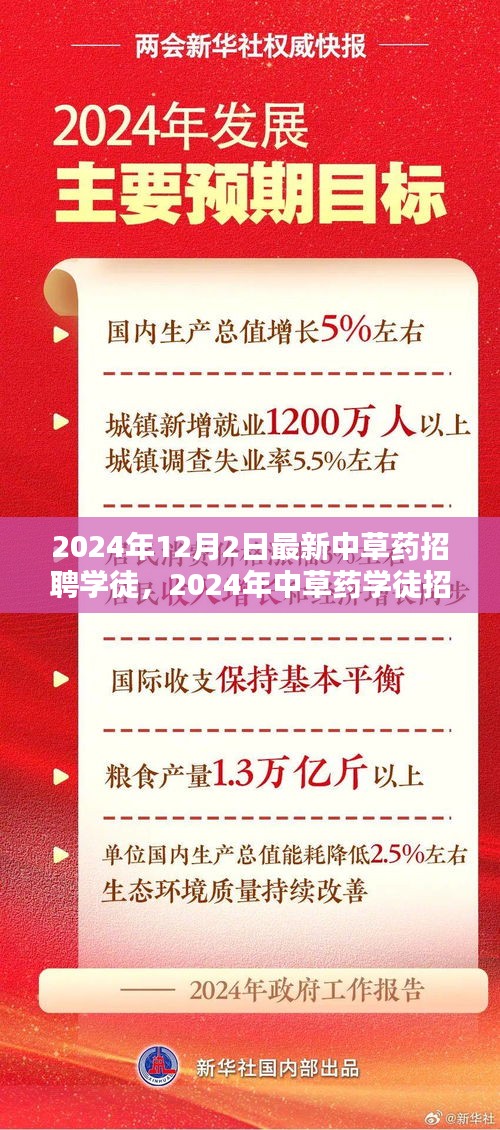 2024年中草藥學徒招聘趨勢與個人選擇深度探討