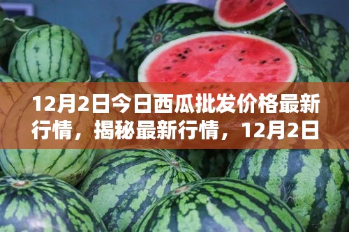 揭秘最新行情，深度解析12月2日西瓜批發(fā)價格走勢及最新行情