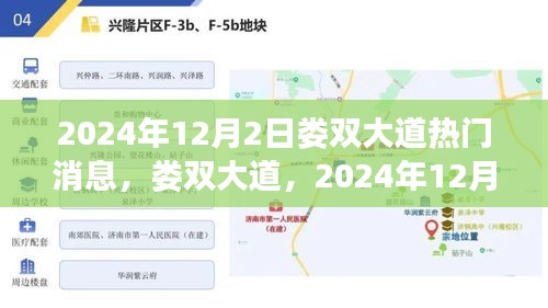 婁雙大道熱門焦點，揭秘2024年12月2日事件及其深遠影響