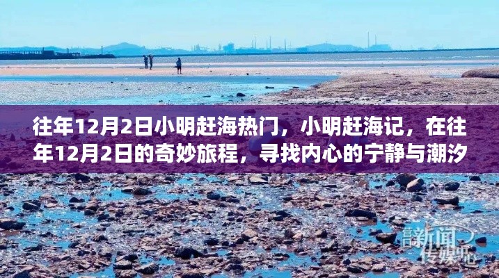 小明趕海記，尋找潮汐之聲與內(nèi)心的寧靜之旅