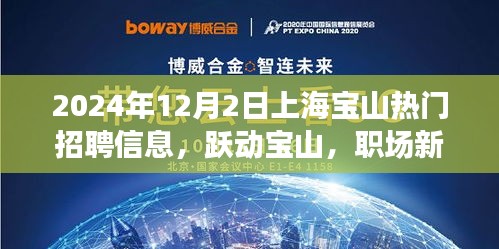 躍動寶山，職場新星，上海寶山熱門招聘信息全解析（2024年）