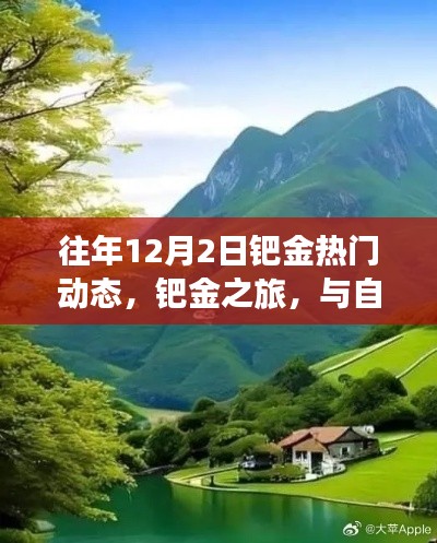 鈀金之旅，與自然美景相遇，探尋內(nèi)心寧?kù)o的熱門(mén)動(dòng)態(tài)回顧