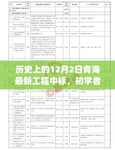 歷史上的12月2日青海最新工程中標(biāo)，初學(xué)者與進(jìn)階用戶的全程指南