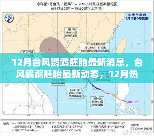 臺風鸚鵡胚胎最新消息，12月熱帶風暴孕育與影響回顧