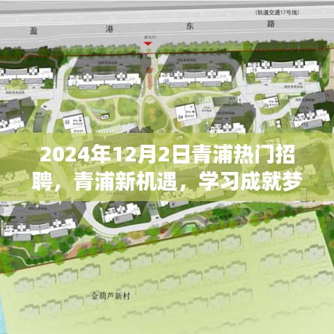 2024年12月2日青浦熱門招聘啟幕，新機(jī)遇助力學(xué)習(xí)成就夢想