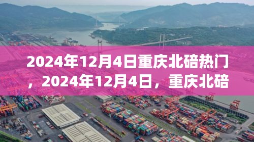 2024年12月4日重慶北碚之旅，探尋自然美景，重拾心靈寧靜