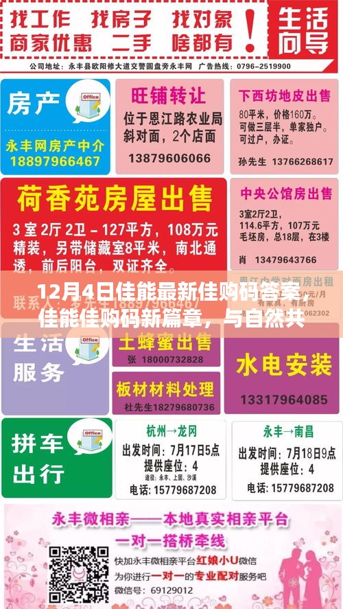 佳能佳購碼新篇章揭秘，與自然共舞，探尋心靈寧靜之地（12月4日最新答案）