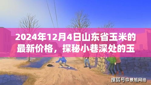 山東省玉米秘境探秘，最新價格與隱藏特色小店的奇妙邂逅