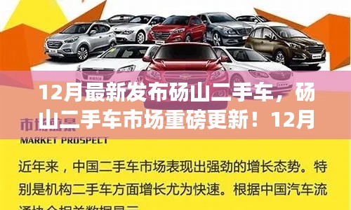 碭山二手車市場最新發(fā)布，12月車輛大全，優(yōu)質(zhì)二手車任你選