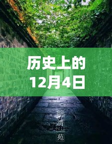 歷史上的12月4日潁上易景售樓盛況揭秘，巷陌間的夢(mèng)幻售樓空間獨(dú)特記憶