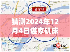 諶家磯球場最新動態(tài)展望，未來賽事猜想（2024年12月4日）