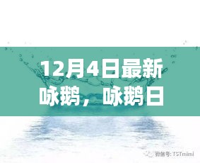 12月4日鵝群趣事與友情盛宴，日常詠鵝新篇章