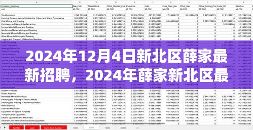 2024年新北區(qū)薛家最新招聘全攻略，適合初學者與進階用戶的應聘指南