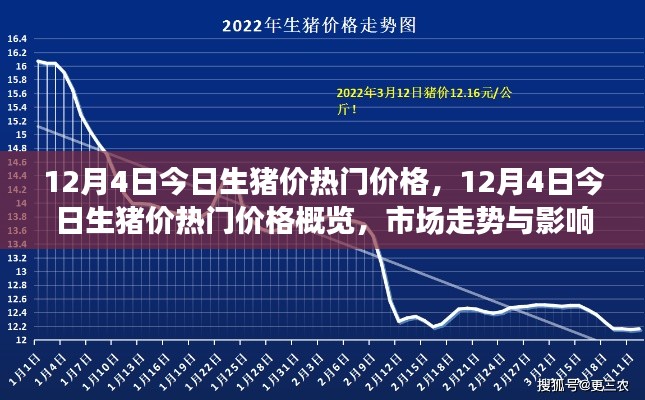 12月4日生豬價(jià)熱門(mén)概覽，深度解析市場(chǎng)走勢(shì)與影響因素