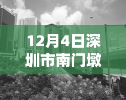 深圳市南門墩12月4日最新動態(tài)詳解與任務技能指南