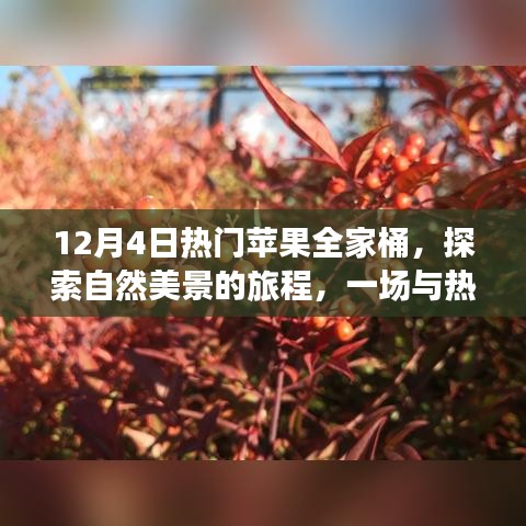 蘋(píng)果全家桶冬日之旅，探索自然美景的奇妙邂逅