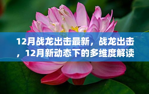 戰(zhàn)龍出擊，12月新動(dòng)態(tài)多維度解讀