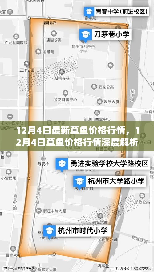 12月4日草魚價格行情解析，市場走勢、影響因素及選購指南