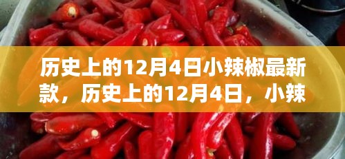 歷史上的小辣椒最新款誕生與影響，揭秘12月4日的獨(dú)特意義