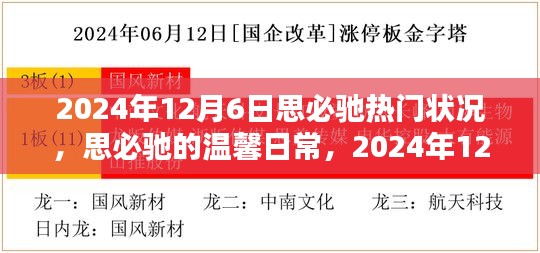 思必馳溫馨日常，揭秘2024年12月6日的奇妙時光