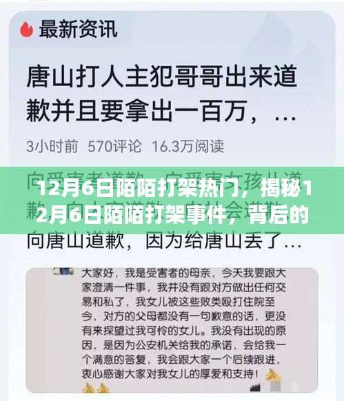 揭秘，12月6日陌陌打架事件背后的原因與影響熱議風(fēng)潮