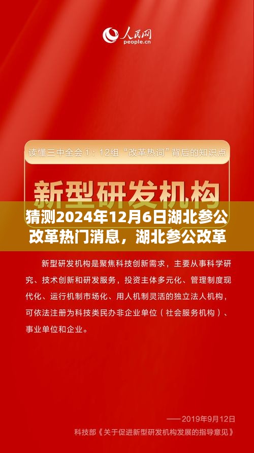 湖北參公改革展望，深度解析熱門消息，預(yù)測未來趨勢至2024年12月6日