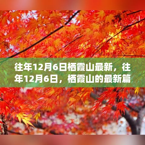 往年12月6日棲霞山深度解析，歷史、事件與地位的新篇章