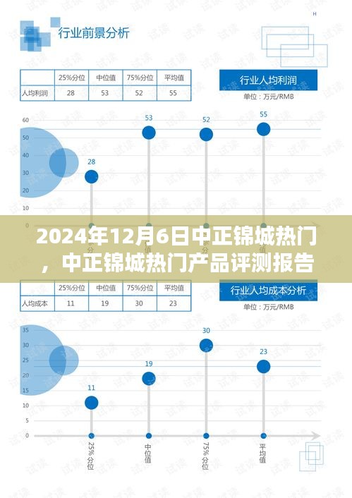 2024年12月6日中正錦城熱門，中正錦城熱門產(chǎn)品評(píng)測(cè)報(bào)告——深度解析與用戶體驗(yàn)分享（XXXX年XX月XX日版）