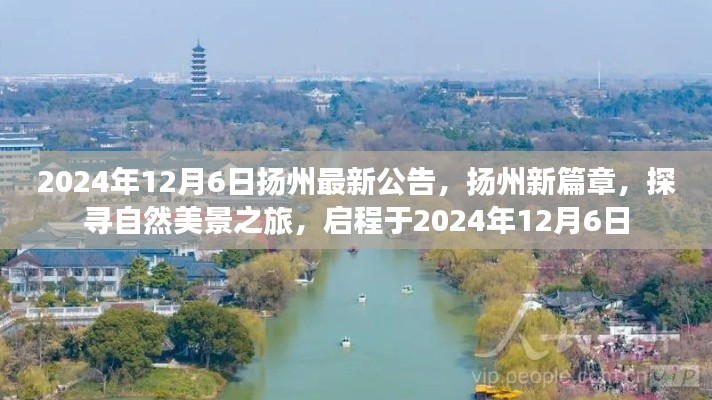 揚(yáng)州新篇章啟程，探尋自然美景之旅的最新公告（2024年12月6日）