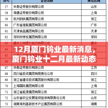 廈門鎢業(yè)十二月最新動(dòng)態(tài)概覽，最新消息概覽