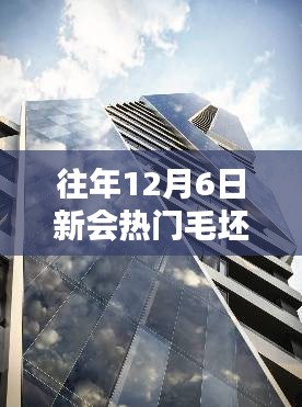 揭秘新會熱門毛坯二手樓市，購房者三大關注點解析（往年12月6日）