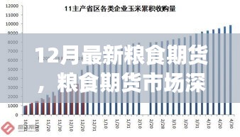 聚焦糧食期貨市場(chǎng)深度洞察，十二月最新動(dòng)態(tài)與市場(chǎng)趨勢(shì)