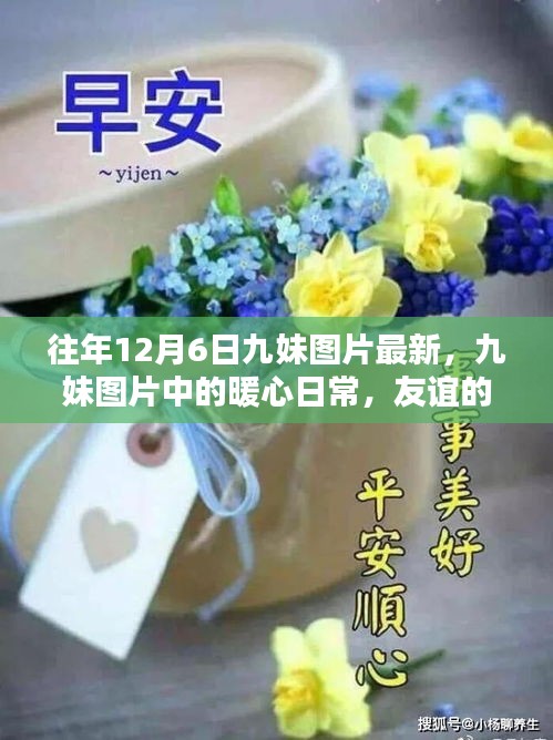 往年12月6日九妹圖片回顧，暖心日常與友誼的溫馨回憶