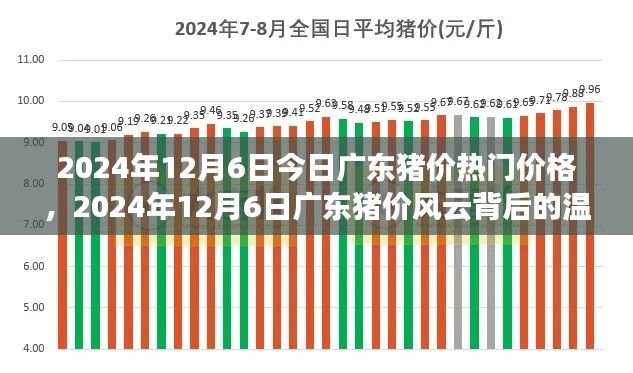 廣東豬價(jià)風(fēng)云背后的溫情故事，最新價(jià)格動(dòng)態(tài)與深度解讀