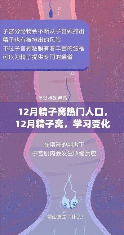 12月精子窩，學(xué)習(xí)變化與自信成就感的源泉，熱門人生的啟航地