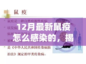 新聞中心 第15頁