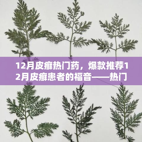 12月皮癬熱門藥物大盤點(diǎn)，爆款推薦與患者的福音