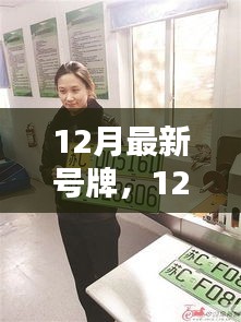 12月最新號(hào)牌全面評(píng)測(cè)與介紹